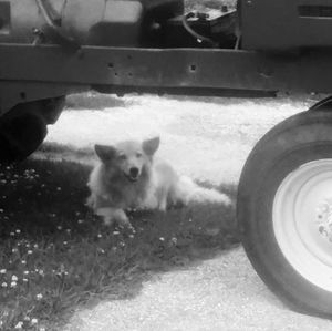 Meet your Posher, Connie